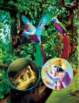 Krishna and the living entity are seated on the tree of the body